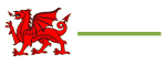 torfaen pickleball club logo